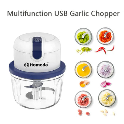 HOMEDA Rechargeable Mini Electric Chopper - Stainless Steel Blades, One Touch Operation, For Mincing Garlic, Ginger, Onion, Vegetable, Meat, Nuts, (White,350 ML,Pack of 1) - Homeda Labs LLP